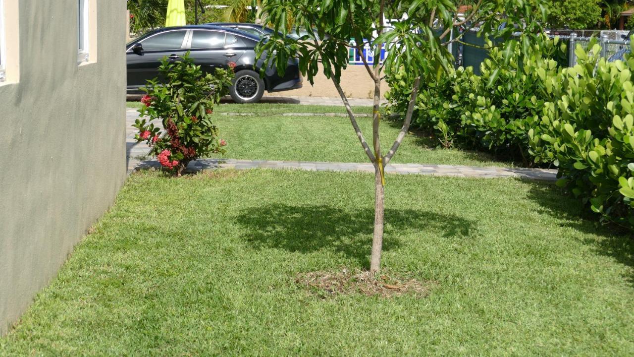 הוילה Miami-Airport Oasis Vip House מראה חיצוני תמונה