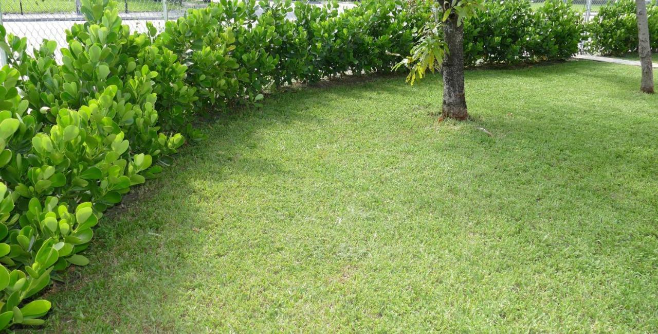 הוילה Miami-Airport Oasis Vip House מראה חיצוני תמונה